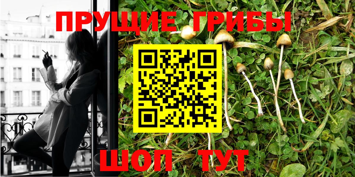 Псилоцибиновые грибы Magic Shrooms Черняховск