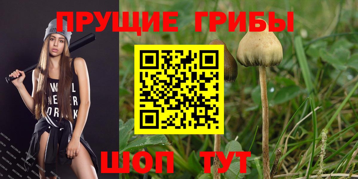 Псилоцибиновые грибы Psilocybe  Вход с VPN  Галлюциногенные грибы Magic Shrooms  Черняховск 