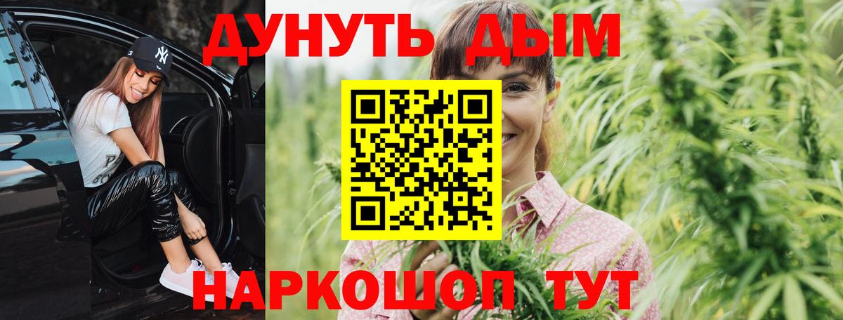 Каннабис OG Kush Черняховск